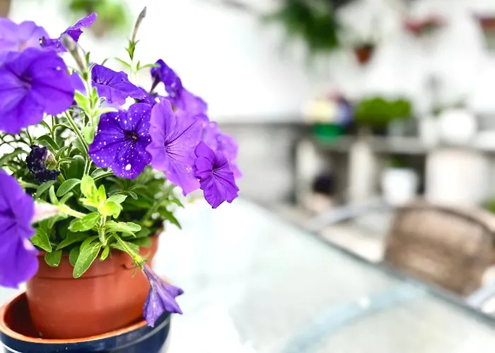 Tatil Evi Porta Cacheiras