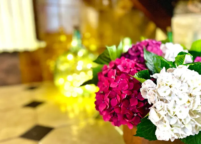 Porta Cacheiras Tatil Evi